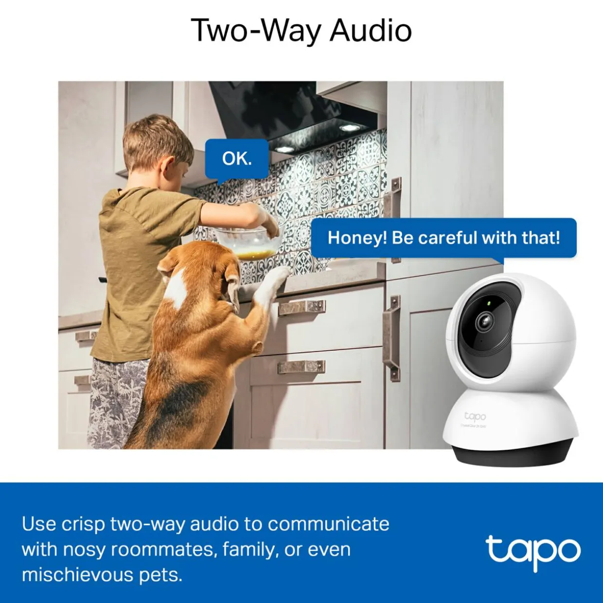 C220 Pan/Tilt AI Home