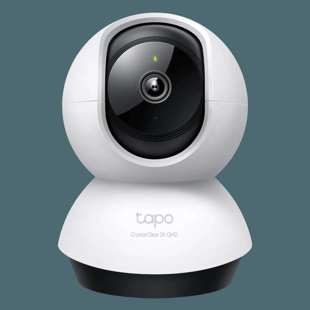 C220 Pan/Tilt AI Home