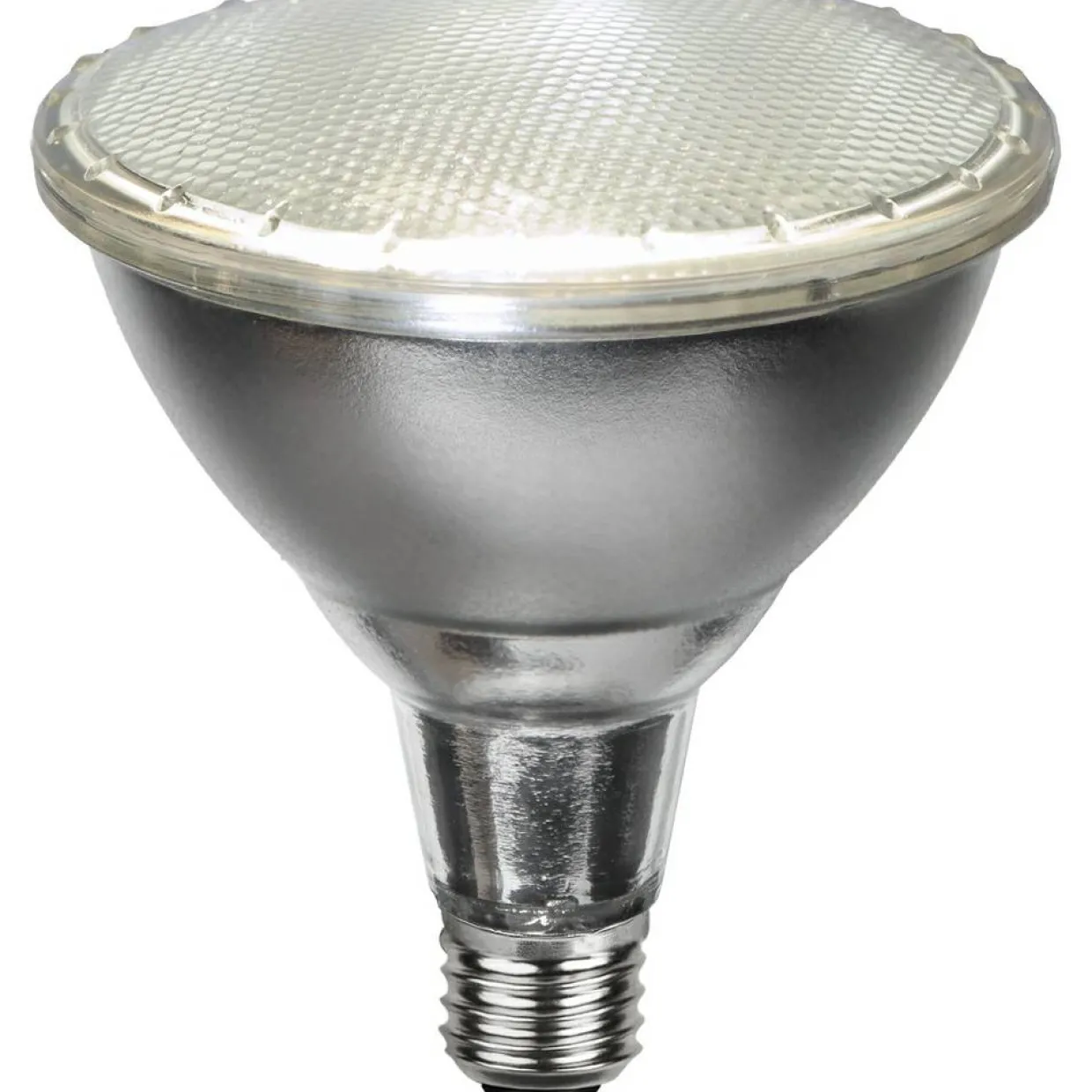 E27 PAR38 Spotlight Outdoor Silver